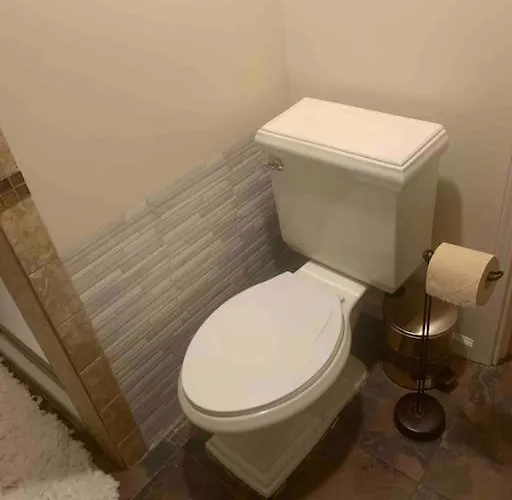 Apartment Entire 1 Bedroom Floor Unit With Patio Chicago